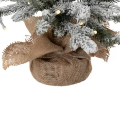 Northlight Real Touch™ Pre-Lit B/O Tamarack Pine Artificial Christmas Tree With Burlap - 2' Warm White LED 12 Northlight Real Touch™ Pre-Lit B/O Tamarack Pine Artificial Christmas Tree With Burlap - 2' Warm White LED -Northlight Decor Sale GUEST e7d34180 7e9d 4837 b522 c67dedd5279c