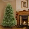 Unlit Dunhill Fir Artificial Christmas Tree - National Tree Company -Northlight Decor Sale GUEST f4d0cf73 e6fe 4dd9 8ba9 f593d876ef5e