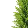 Northlight 1.4 FT Upswept Frosted Cedar Artificial Christmas Tree - Unlit -Northlight Decor Sale GUEST f6121c80 3b47 481f ac22 01731b768b5c